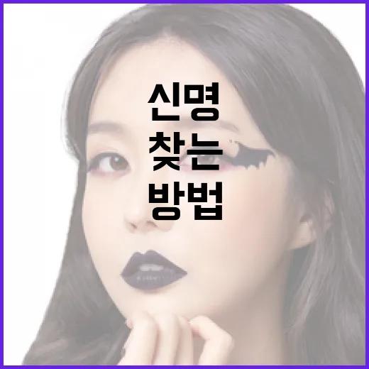 최신 영화 신명 정보를 쉽게 찾는 방법 - 요약