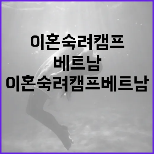 이혼숙려캠프 베트남에서 효과적으로 참여하는 방법 - 요약