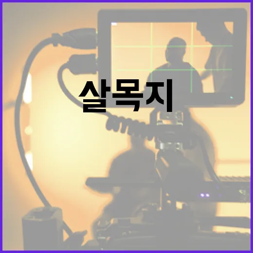 살목지를 효과적으로 활용하는 방법 - 요약