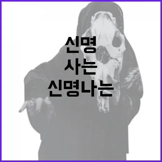 신명 나는 삶을 사는 방법 - 요약