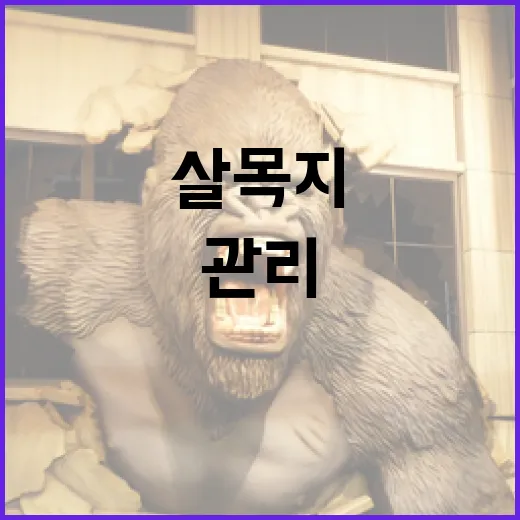 살목지를 효과적으로 관리하는 방법 - 요약