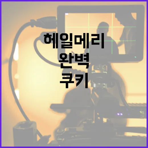 헤일메리 쿠키를 완벽하게 만드는 방법 - 요약