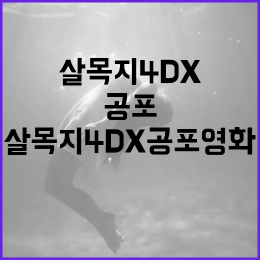 살목지 4DX 공포영화, 특별한 경험을 위한 가이드 - 요약