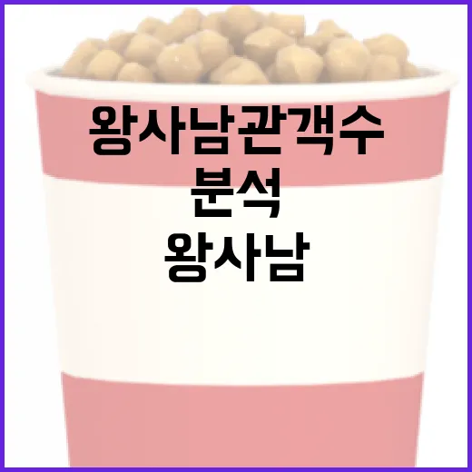 왕사남 관객수를 효과적으로 분석하는 방법 - 요약