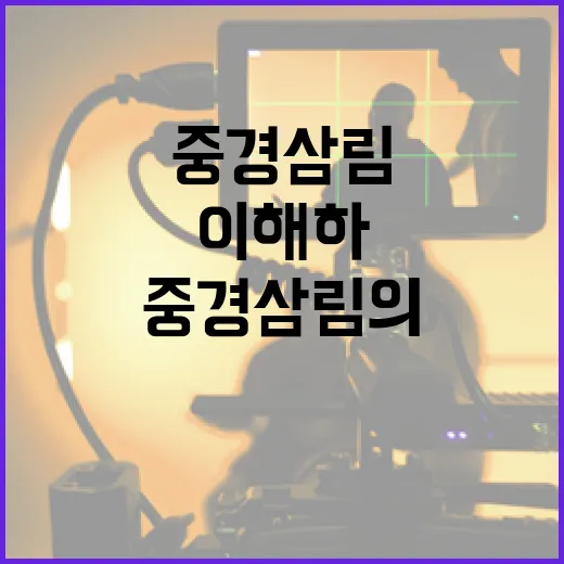 중경삼림의 뜻을 이해하는 방법 - 요약