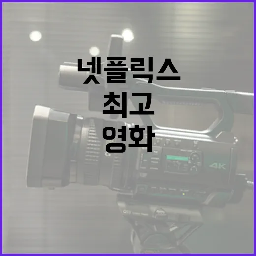 최고의 넷플릭스 영…