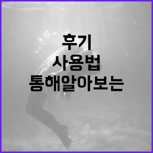 살목지 후기를 통해 알아보는 올바른 사용법 - 요약