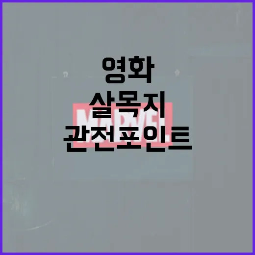 영화 '살목지' 후기: 감동을 더하는 관전 포인트 - 요약