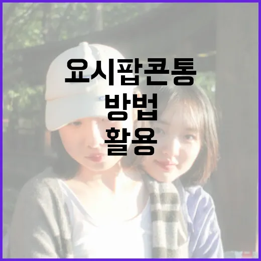 요시 팝콘통을 완벽…