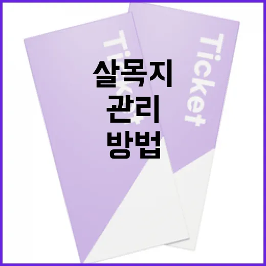 살목지를 효과적으로 관리하는 방법 - 요약