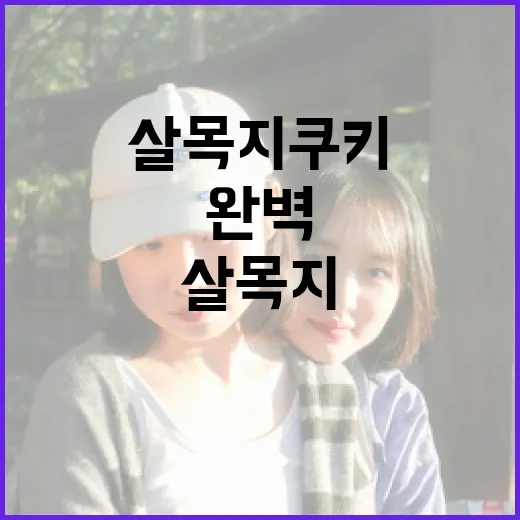 살목지 쿠키를 완벽하게 만드는 방법 - 요약