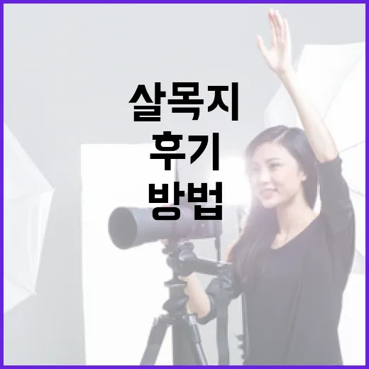 살목지를 제대로 사용하고 후기를 남기는 방법 - 요약