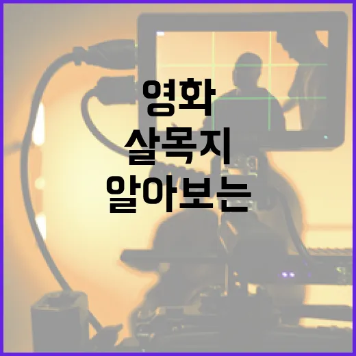 영화 '살목지'에 대해 알아보는 방법 - 요약