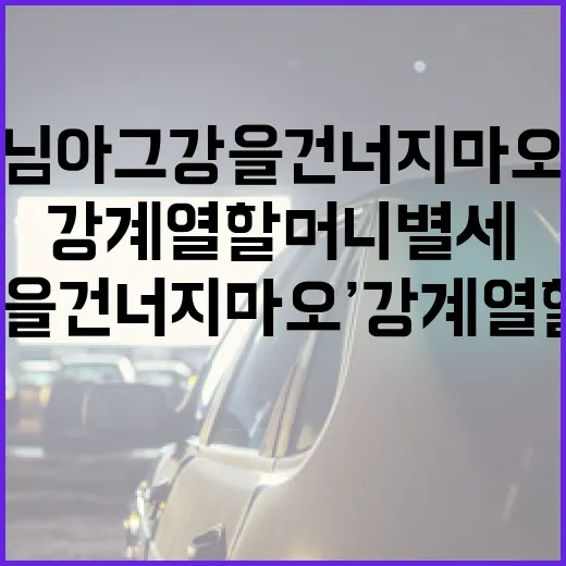 ‘님아, 그 강을 건너지 마오’ 강계열 할머니 별세에 대해 알아야 할 모든 것 - 요약