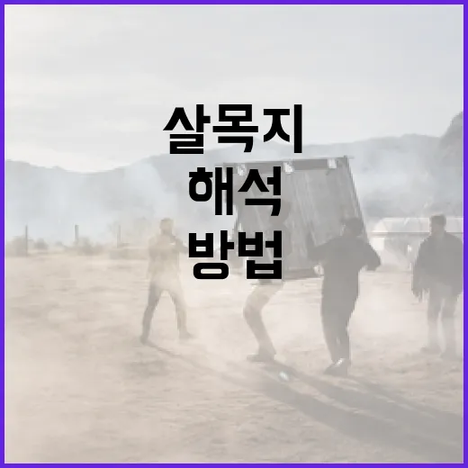 살목지를 해석하는 방법 - 요약