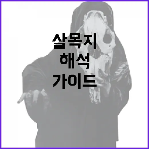 살목지를 해석하는 방법: 초보자를 위한 가이드 - 요약