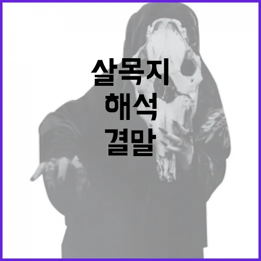 살목지 결말 해석: 깊이 있는 이해를 위한 가이드 - 요약