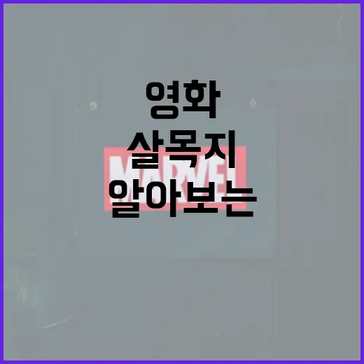 영화 '살목지'에 대해 알아보는 방법 - 요약