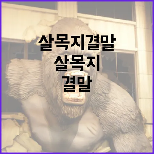살목지 결말을 이해하는 방법 - 요약