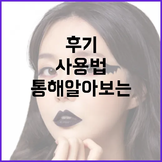 살목지 후기를 통해 알아보는 효과적인 사용법 - 요약