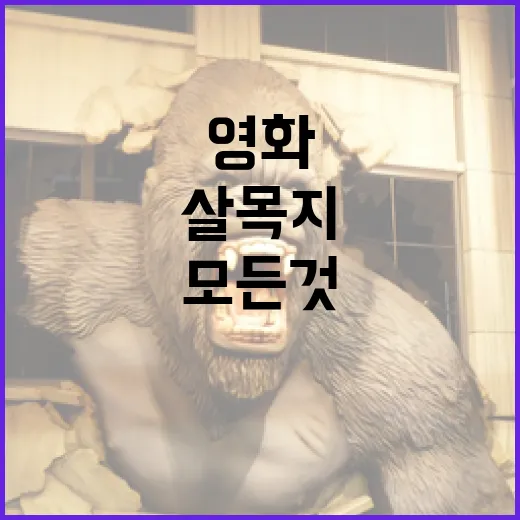 영화 '살목지'에 대한 모든 것을 알아보는 방법 - 요약