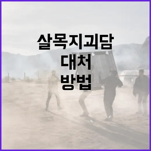 살목지 괴담을 이해하고 대처하는 방법 - 요약