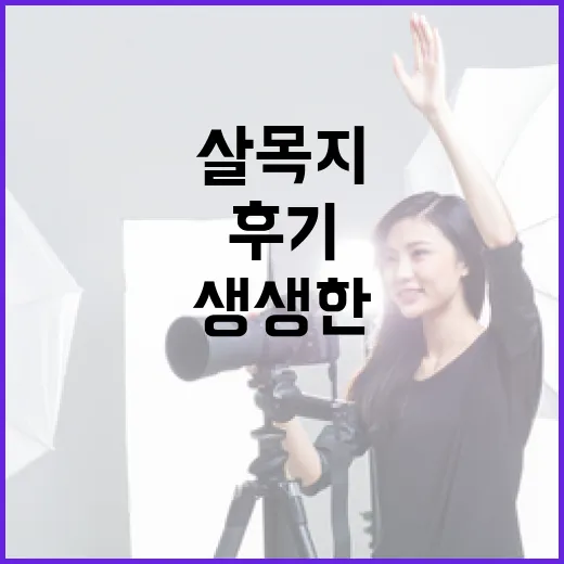 살목지 후기를 통해 알아보는 생생한 체험 이야기 - 요약