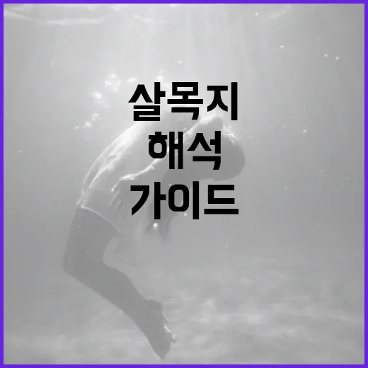 살목지를 해석하는 방법: 초보자를 위한 가이드 - 요약