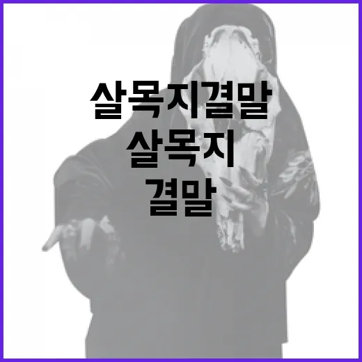 살목지 결말을 이해하는 방법 - 요약