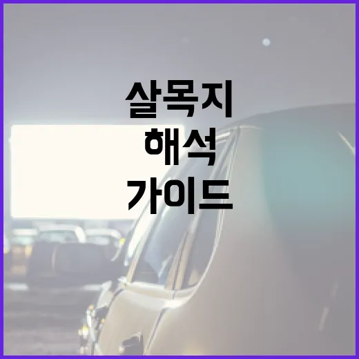 살목지를 해석하는 방법: 초보자를 위한 가이드 - 요약