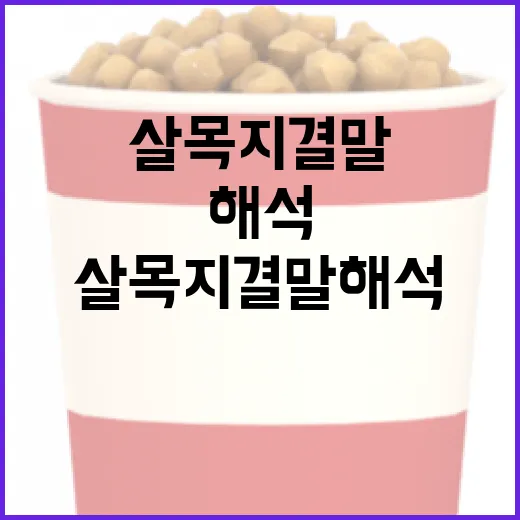 살목지 결말 해석하는 방법 - 요약