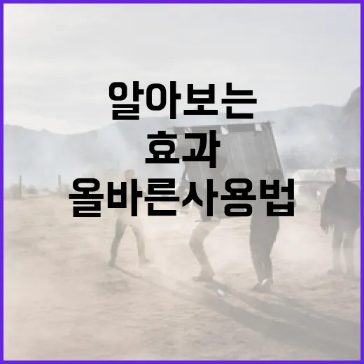 살목지 후기를 통해 알아보는 올바른 사용법과 효과 - 요약