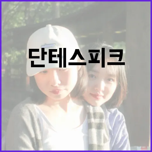 단테스 피크의 뜻과 그 중요성을 이해하는 방법 - 요약