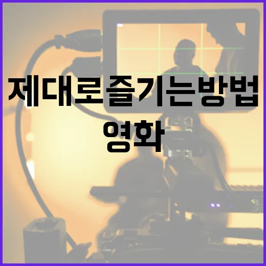 램 영화를 제대로 즐기는 방법 - 요약