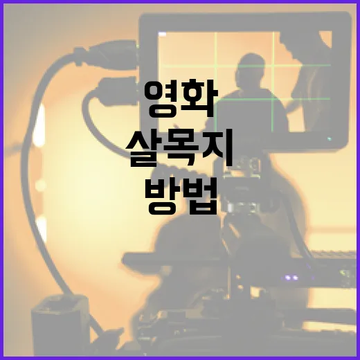 살목지 영화를 제대로 이해하는 방법 - 요약