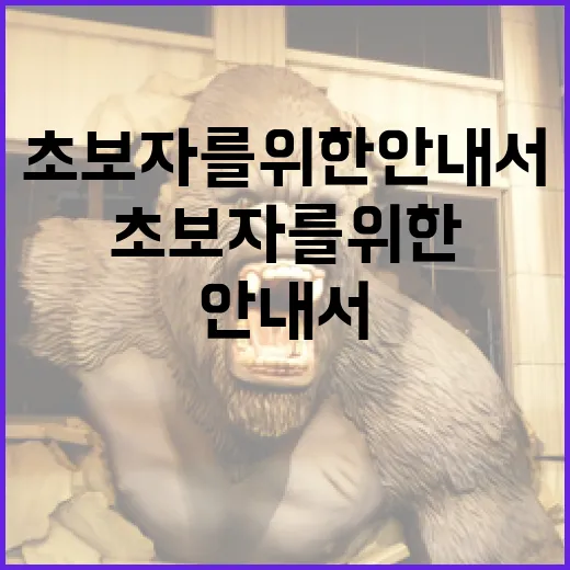 히든페이스 찾는 방법: 초보자를 위한 안내서 - 요약