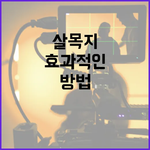 살목지 후기를 통해 본 효과적인 사용 방법 - 요약