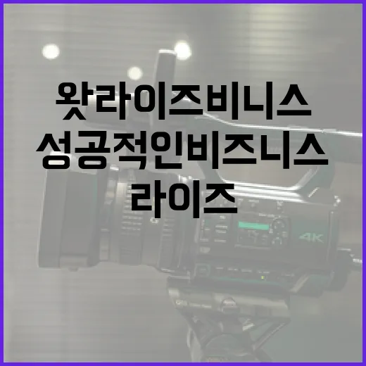 왓라이즈비니스로 성공적인 비즈니스를 시작하는 방법 - 요약