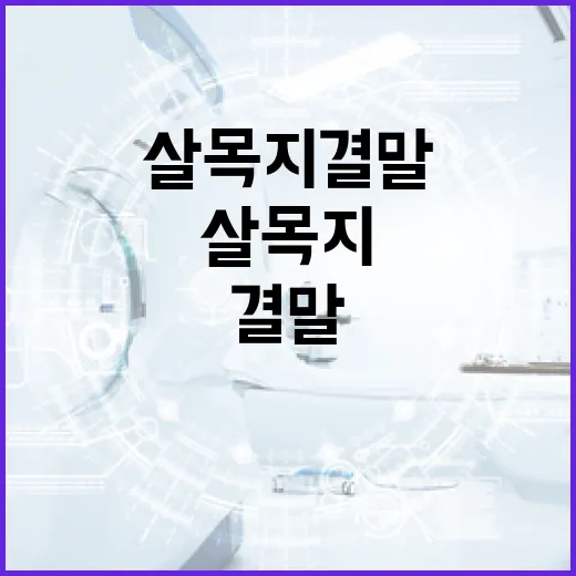 살목지 결말을 이해하는 방법 - 요약