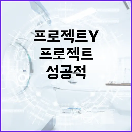 프로젝트Y를 성공적으로 완료하는 방법 - 요약
