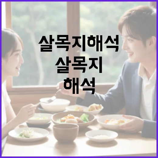 살목지 해석하는 방법과 그 중요성 - 요약