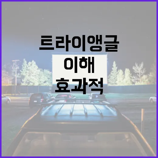 트라이앵글을 이해하고 효과적으로 사용하는 방법 - 요약