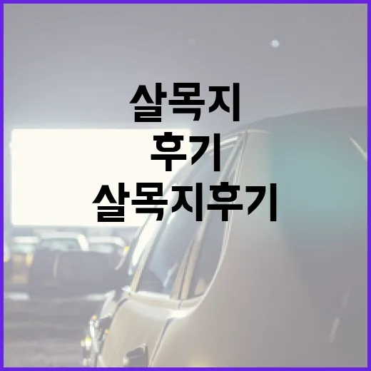 살목지 후기를 통해 본 효과적으로 활용하는 방법 - 요약