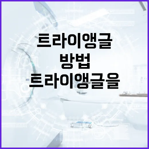 트라이앵글을 이해하고 활용하는 방법 - 요약