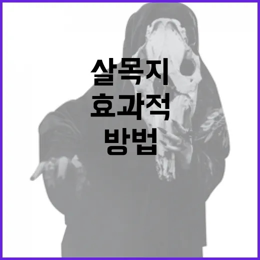 살목지를 효과적으로 사용하는 방법 - 요약