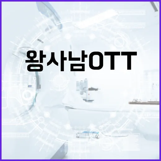 왕사남 OTT로 한국 드라마를 즐기는 방법 - 요약