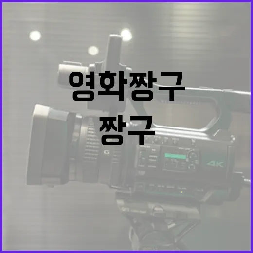영화 짱구 시리즈를 즐기는 방법 - 요약