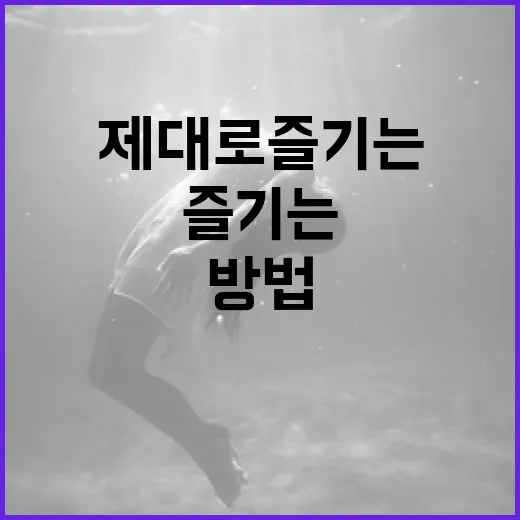 루체비노를 제대로 즐기는 방법 - 요약