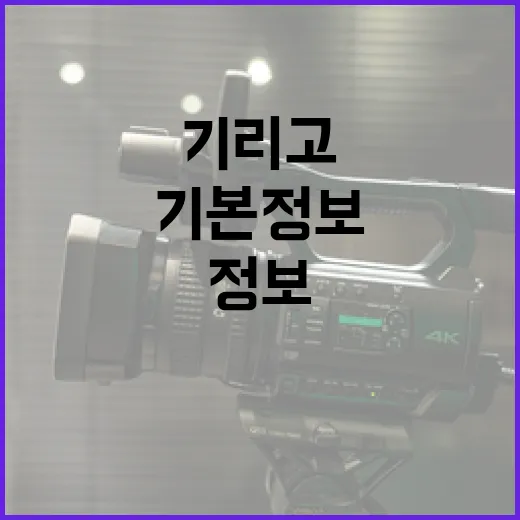 기리고의 기본 정보를 쉽게 이해하는 방법 - 요약
