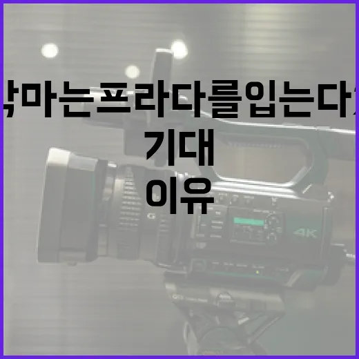 악마는 프라다를 입는다 2를 기대할 수 있는 이유